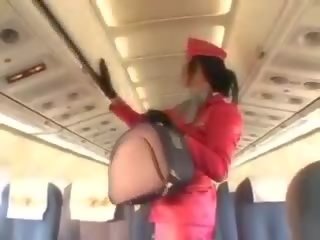 Склонен към флиртуване стюардеса смучене джонсън преди кунилингус