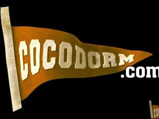 Cocodorm 日 日 + hotrod teaser